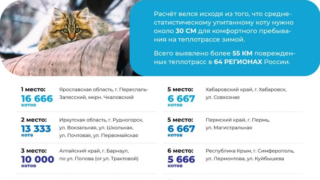 Инфографика: onf.ru