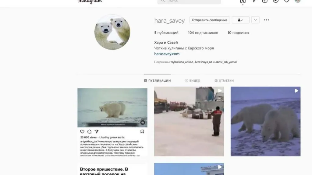 Скрин видео: аккаунт Хара и Савэй, Instagram