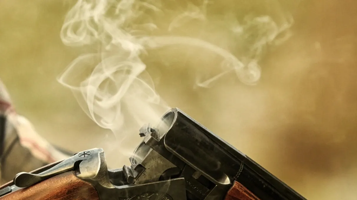 Фото: SVshot/Shutterstock/Fotodom