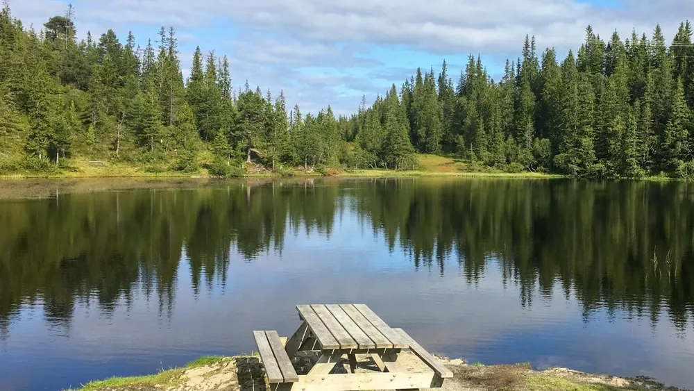 Фото: Be Back/Shutterstock/Fotodom