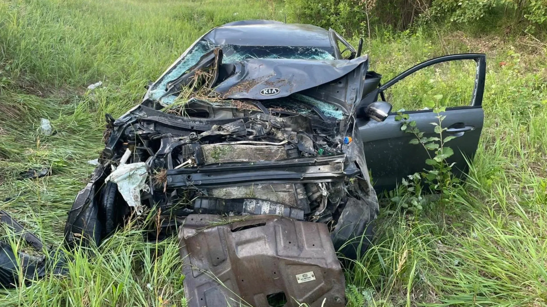 Фото: t.me/gibdd72