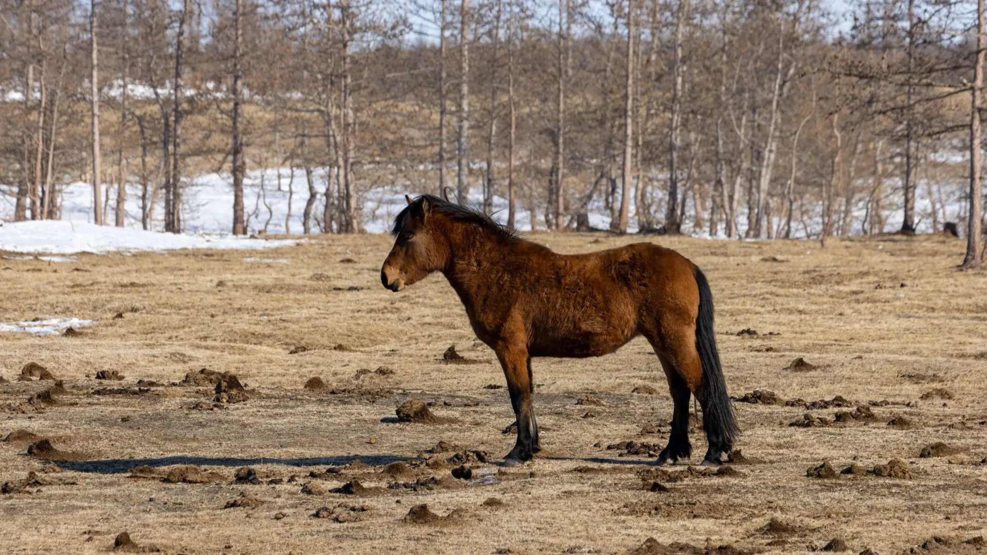 Фото: Федор Воронов/«Ямал-Медиа»