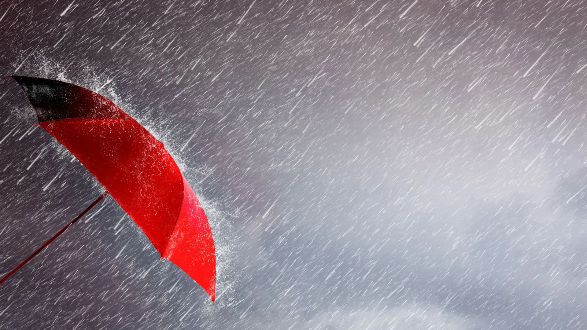 Фото: ART STOCK CREATIVE/Shutterstock/Fotodom