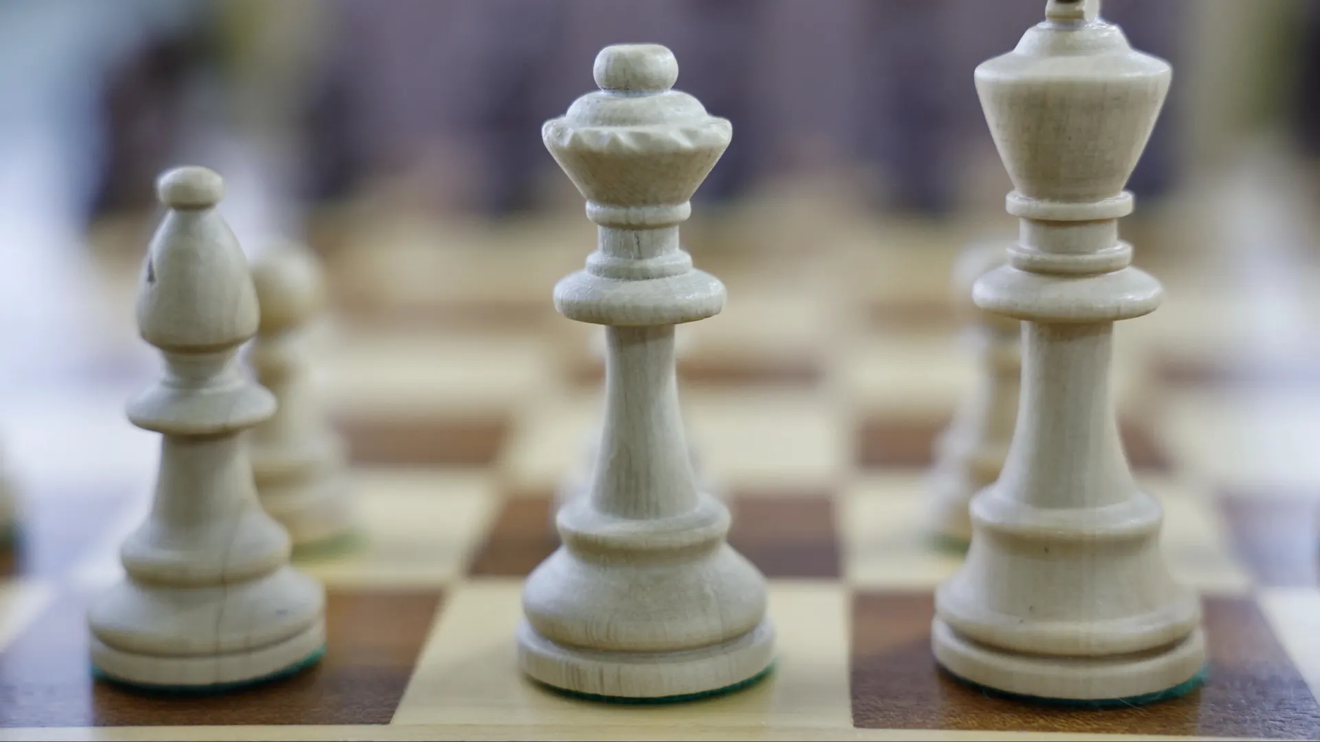 Фото: Андрей Ткачев/«Ямал-Медиа»