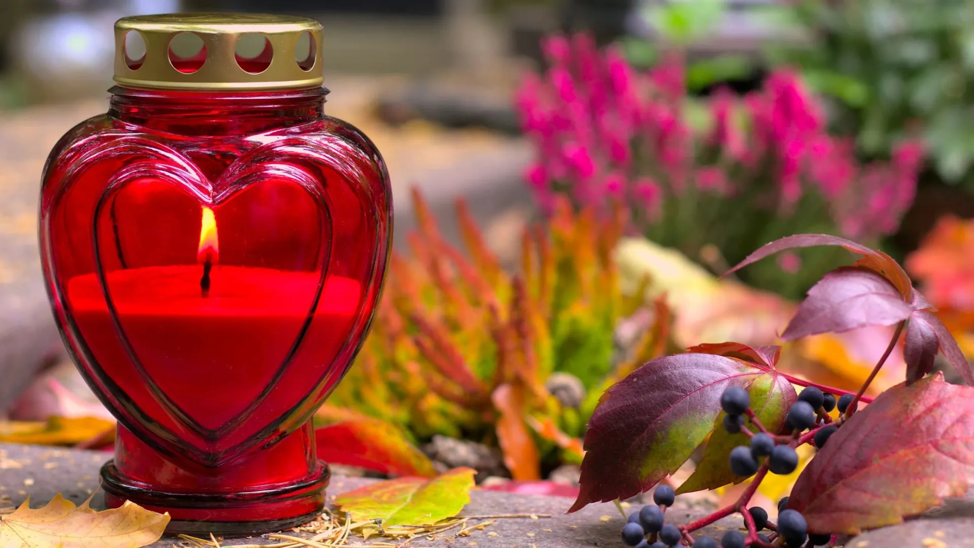 Фото: Tula L/Shutterstock/Fotodom