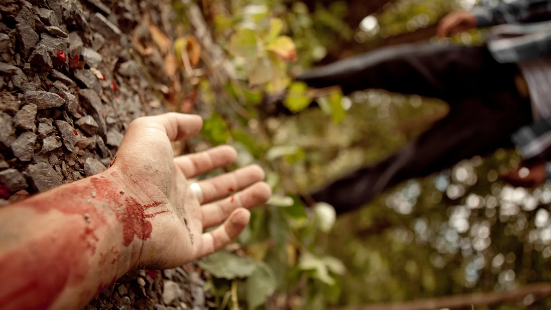 Фото: Frenzel/Shutterstock/Fotodom