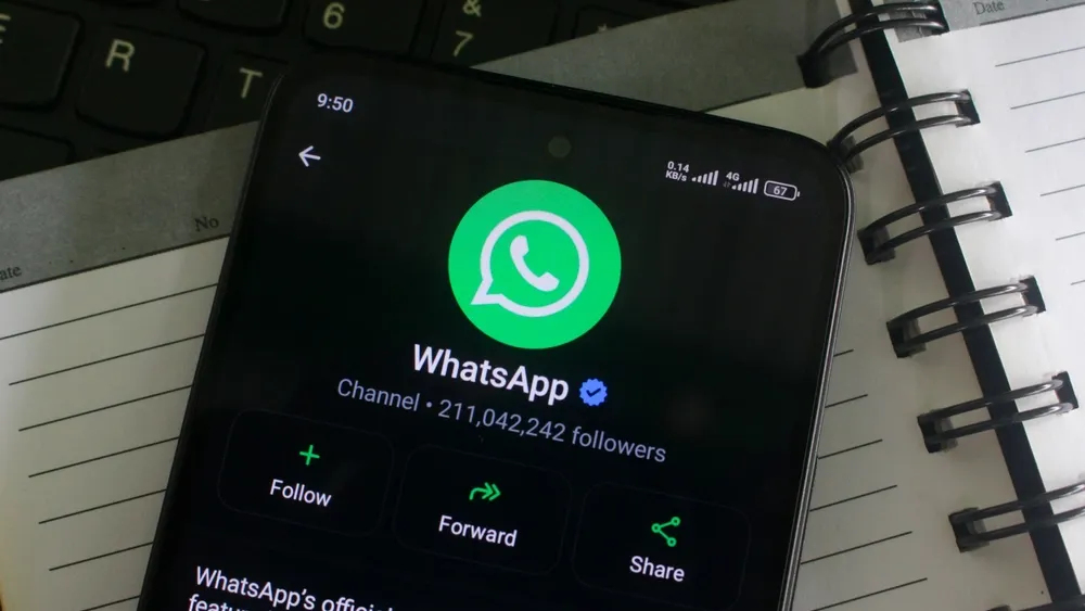 Фото: ZA Media/Shutterstock/Fotodom