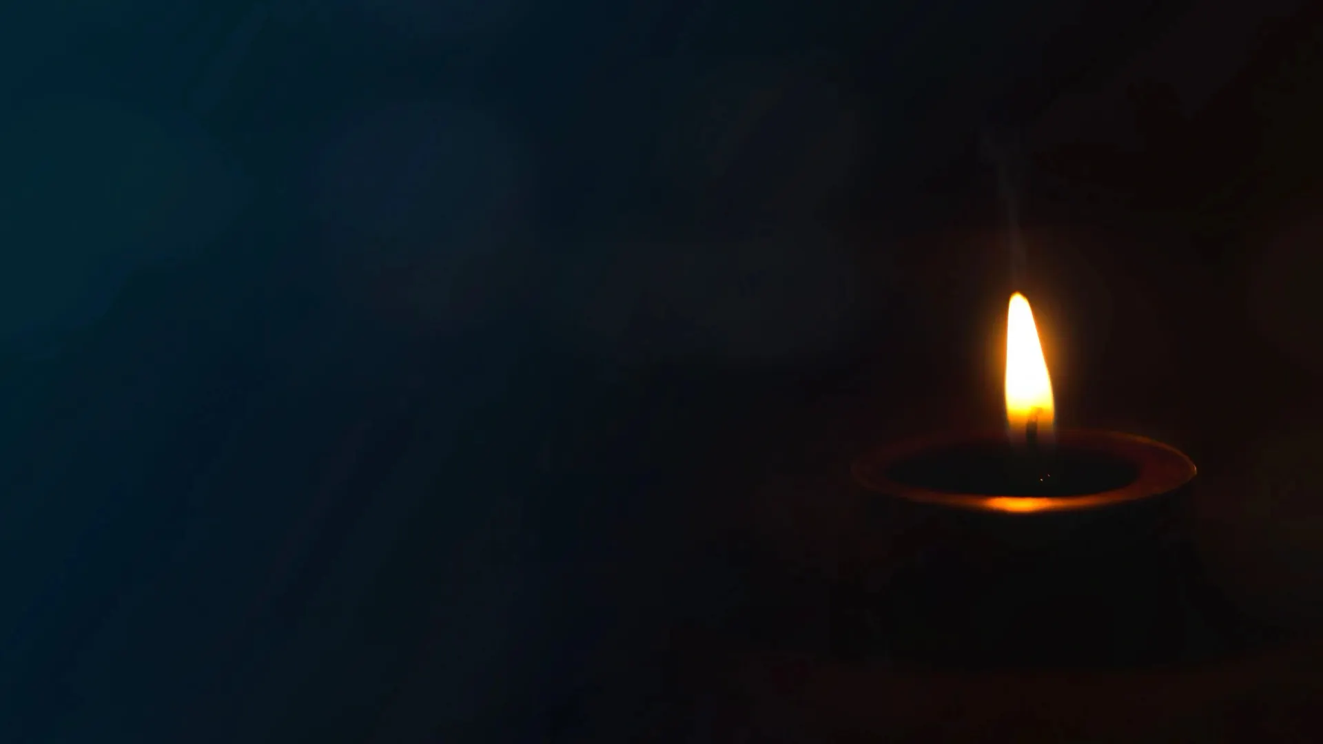 Фото: Paul shuang/Shutterstock/Fotodom