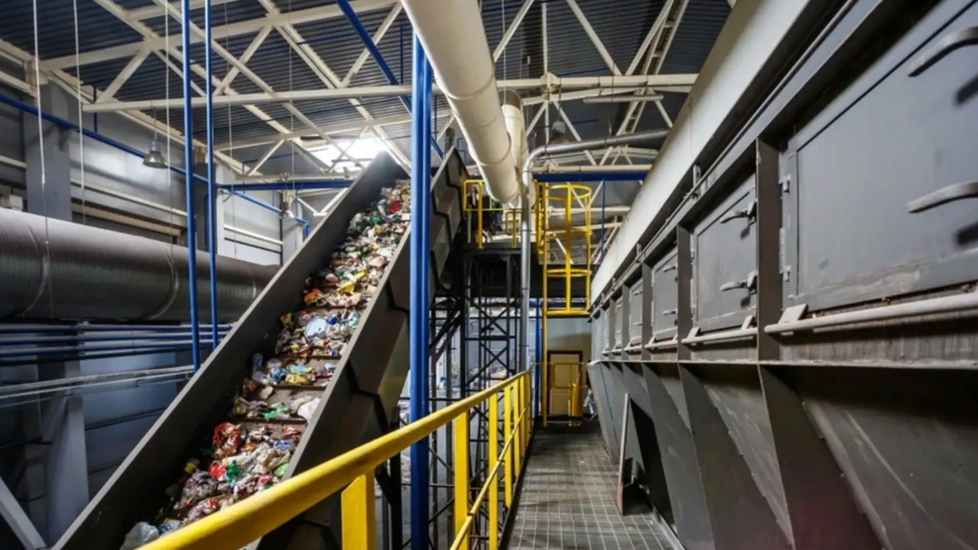 Фото: jantsarik/shutterstock.com/Fotodom