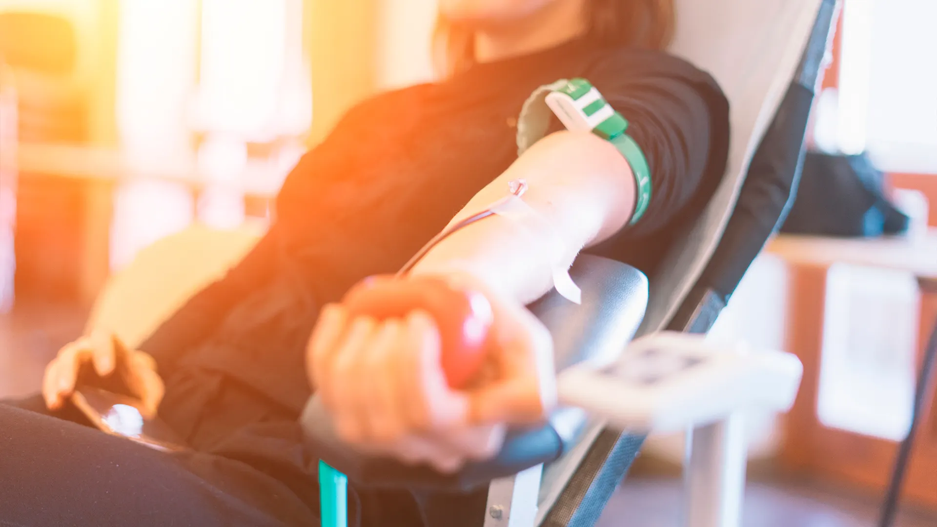 Фото: c12/shutterstock.com