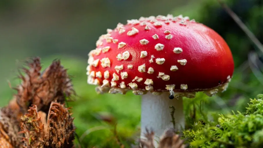 Фото: KlavdiyaV/Shutterstock