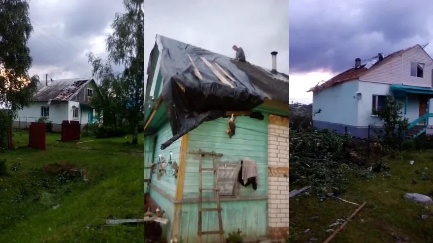 Фото: t.me/mayorov_nevel