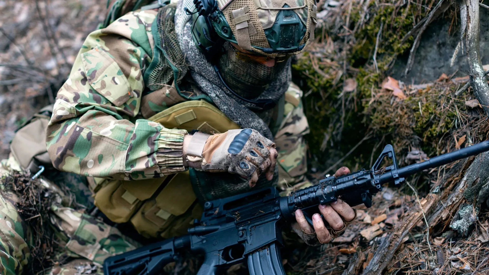 Фото: Green Elk/Shutterstock/Fotodom