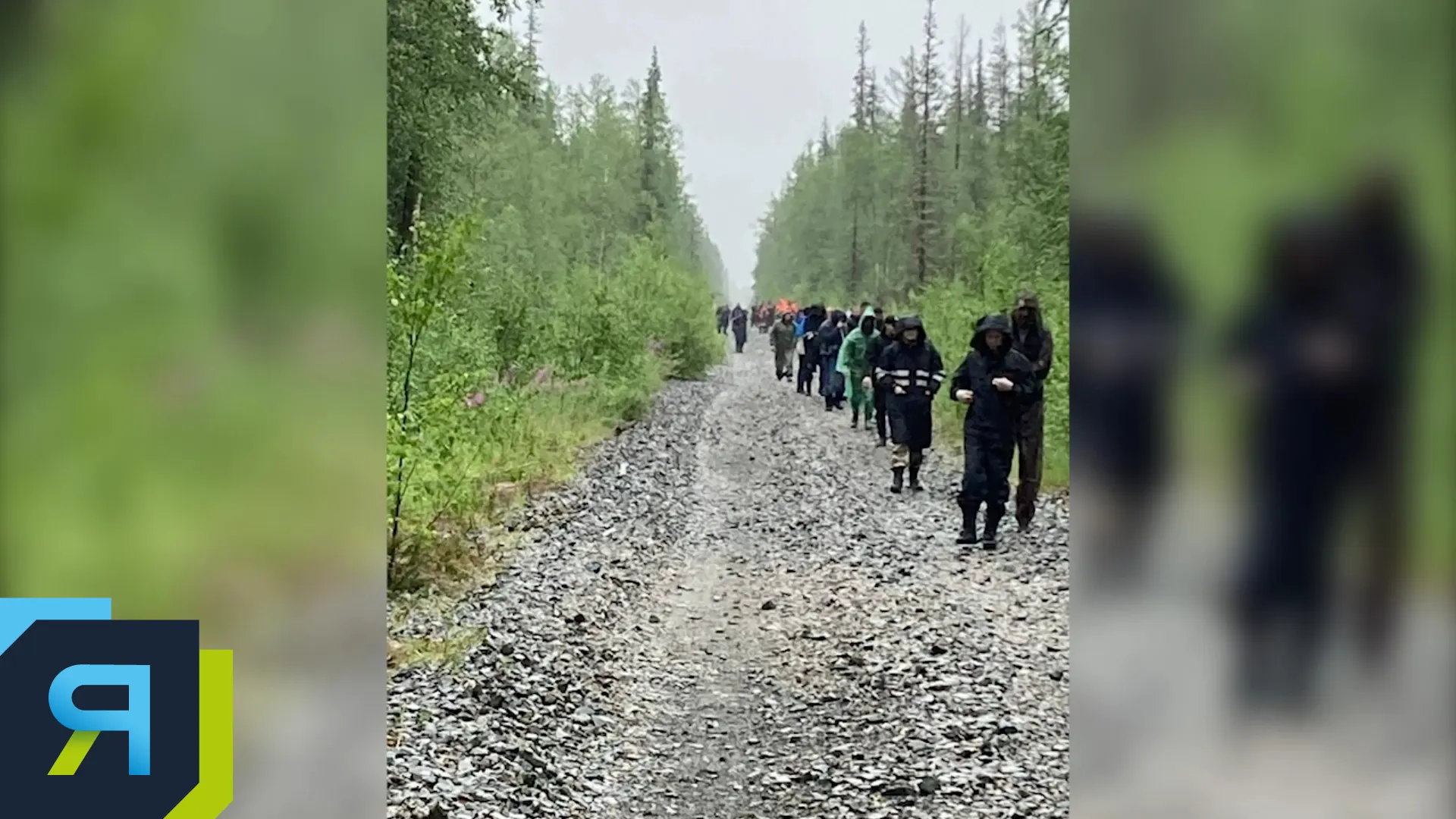 В Ноябрьске и Лабытнанги ищут пропавших людей