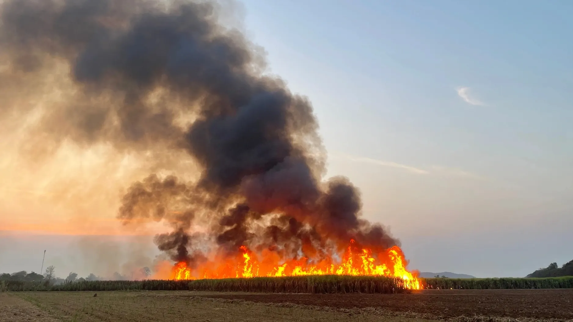 Фото: MONNOTONE/Shutterstock/Fotodom