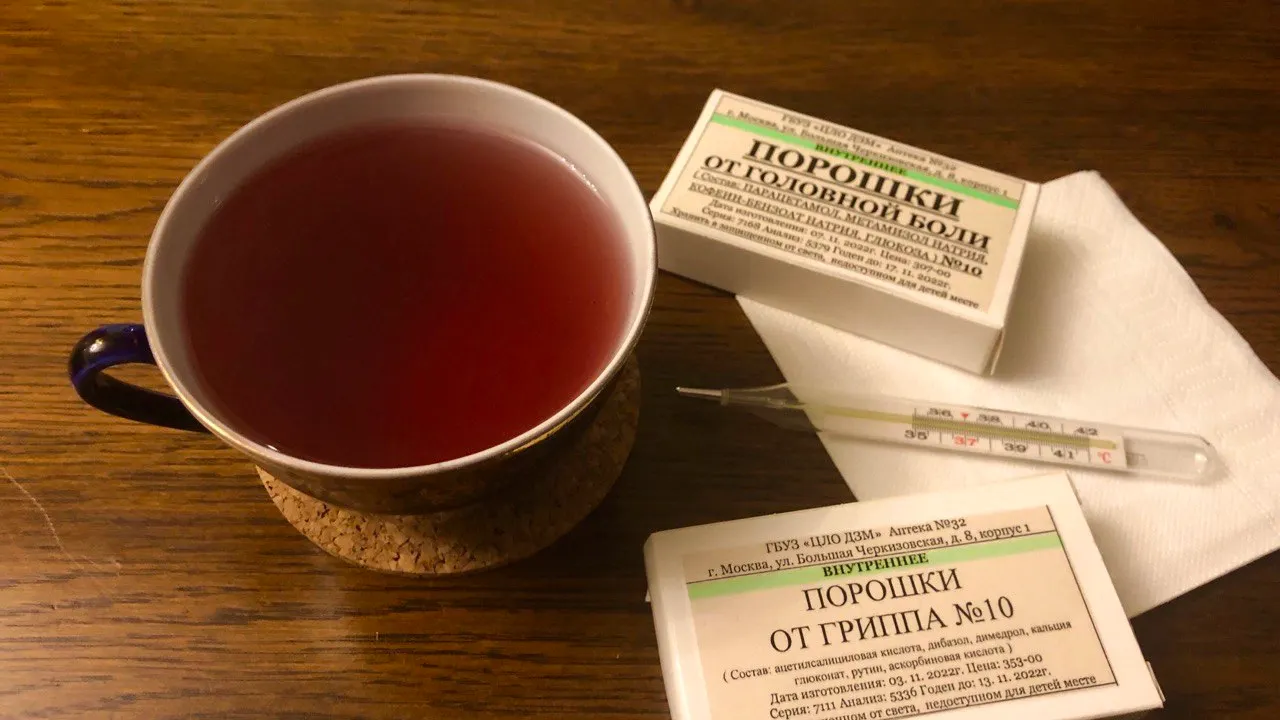 Фото: «Ямал-Медиа»