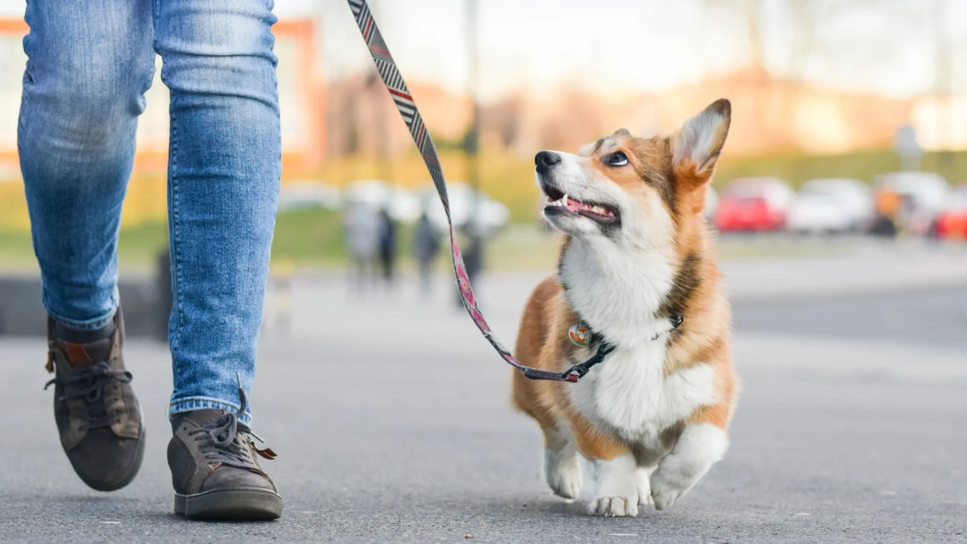 Фото: Jus_Ol/Shutterstock/Fotodom