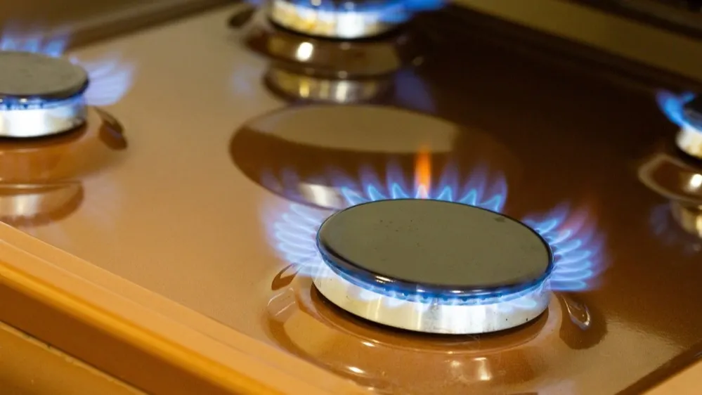 Фото: AnnaNel/Shutterstock/Fotodom