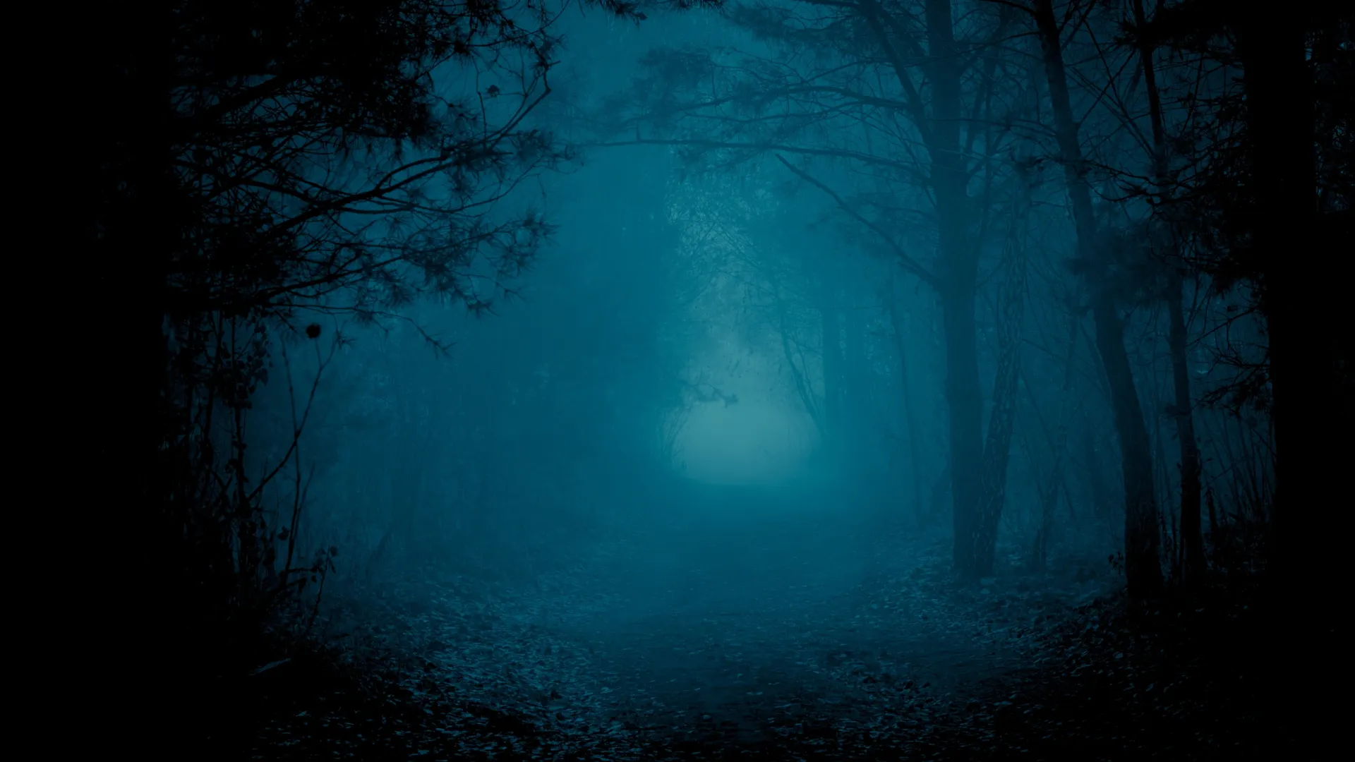 Фото: Stone36/Shutterstock/Fotodom