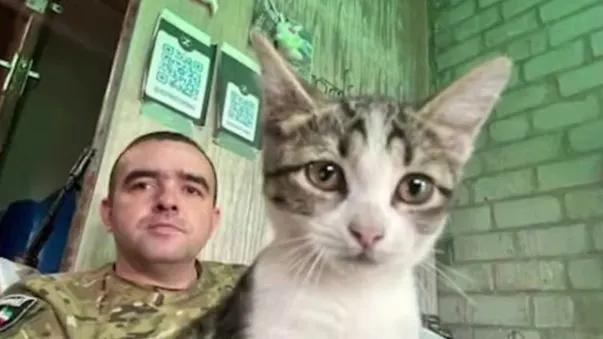 Кадр из видео со страницы t.me/operativnyishtabtyumen