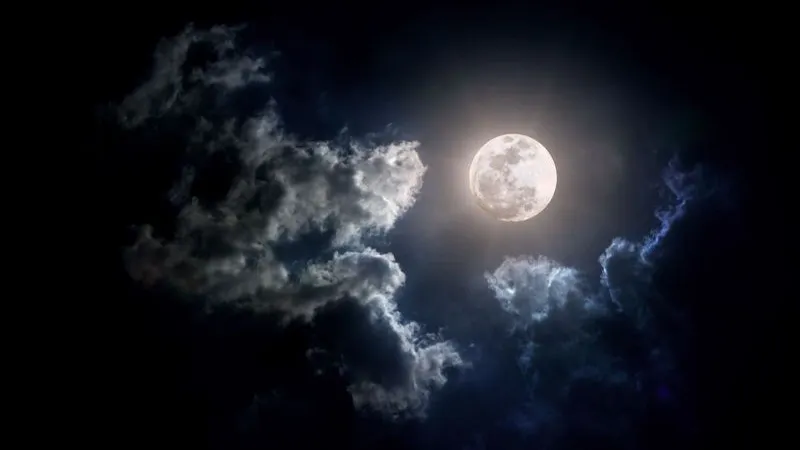 Фото: Voraorn Ratanakorn/Shutterstock/Fotodom