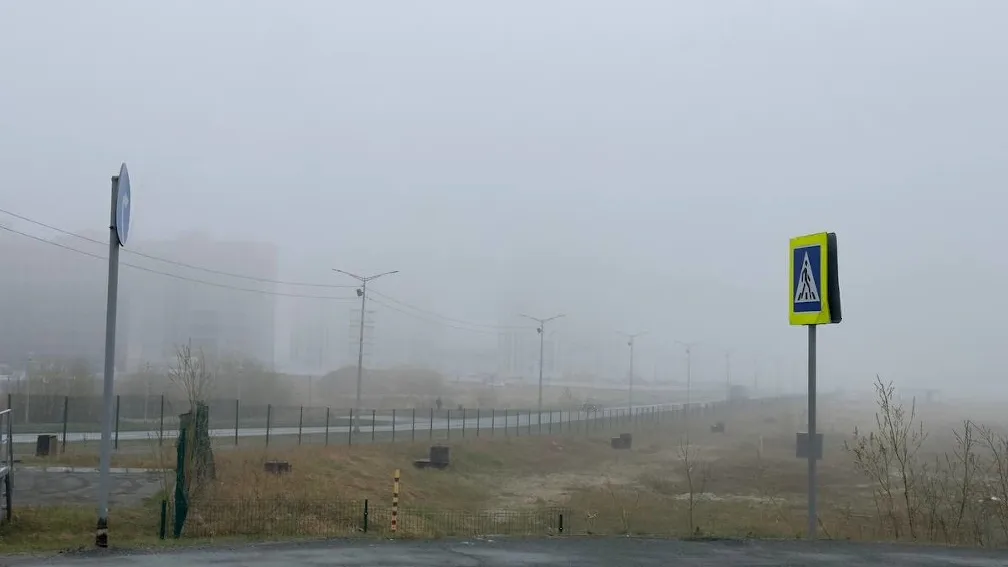 Фото: Василий Петров/«Ямал-Медиа»