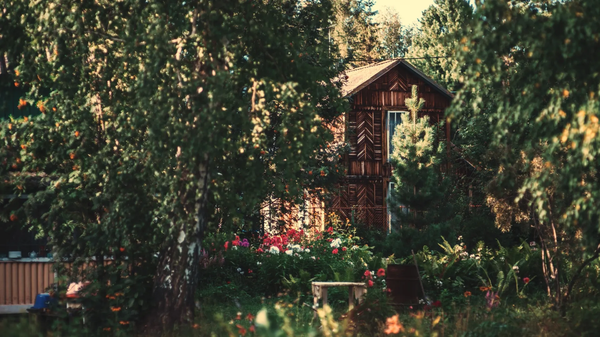 Фото: SkyNext/Shutterstock/Fotodom