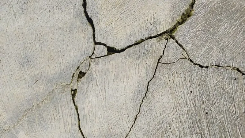 pic