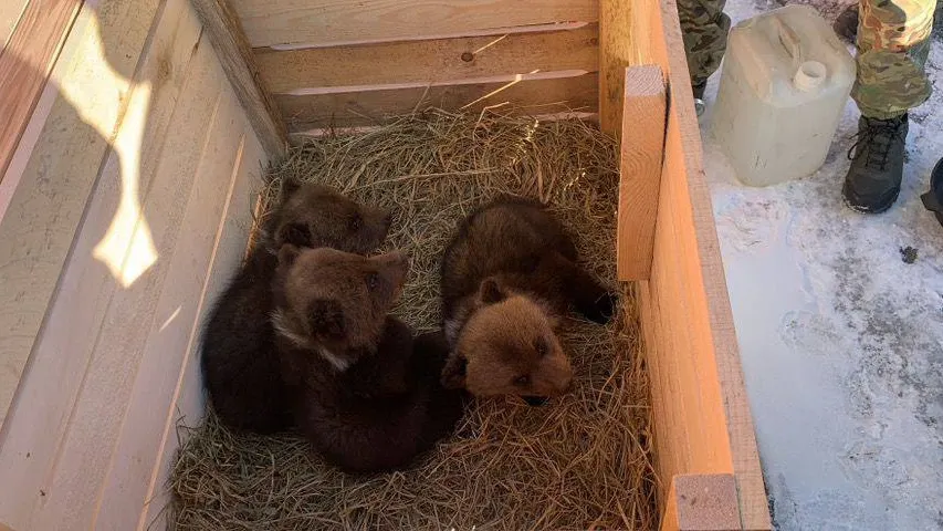 Фото предоставлено информационным центром правительства Тюменской области