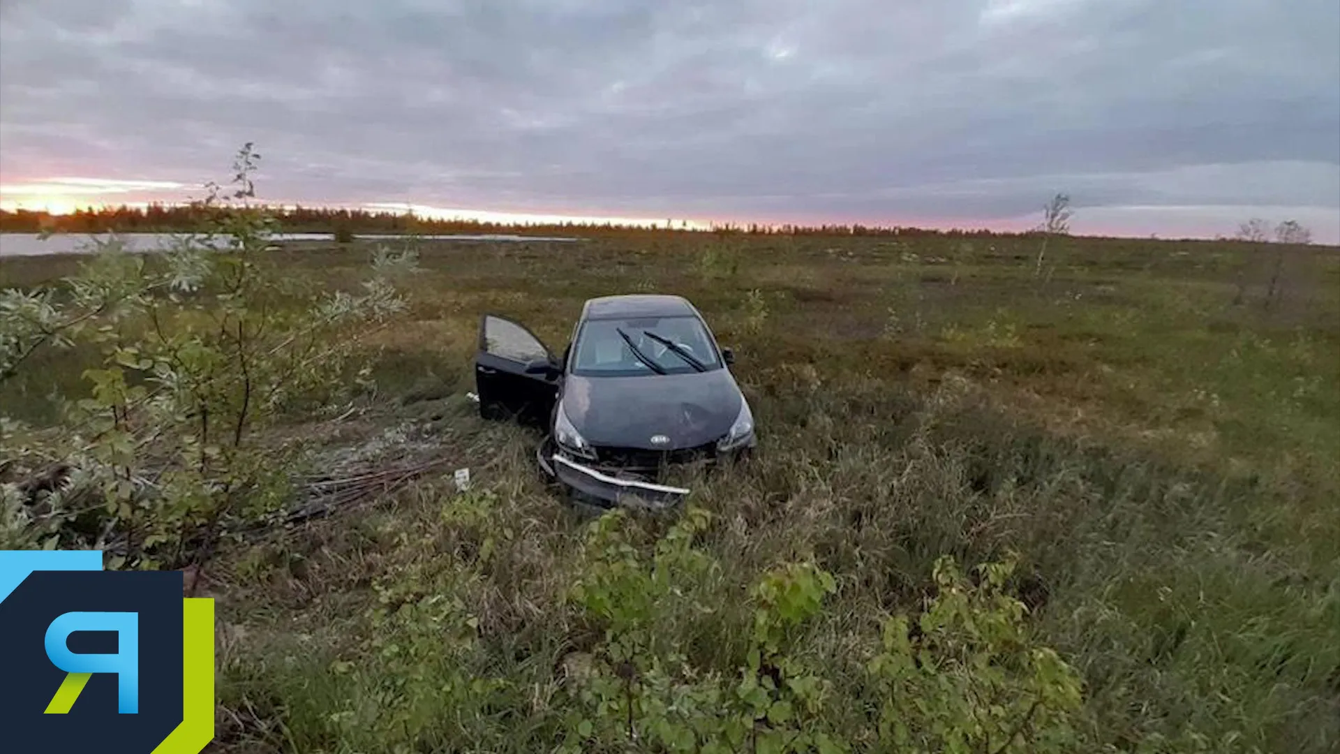 Фото: скрин из видео АНО "Ямал-Медиа"