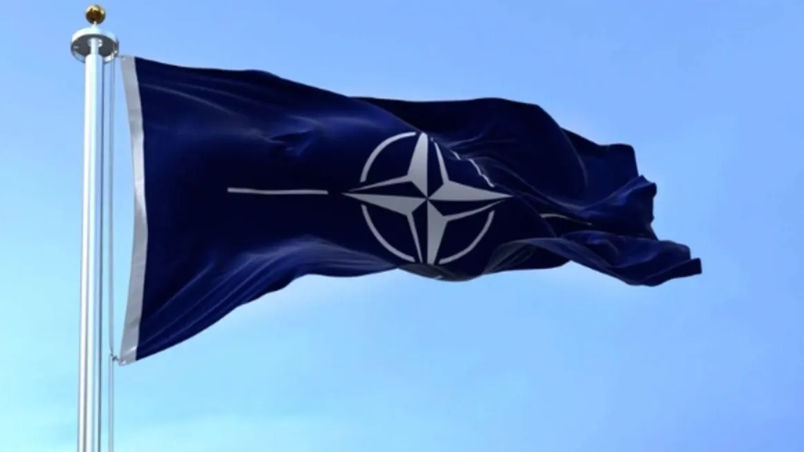 Фото: Rarrarorro/Shutterstock/Fotodom