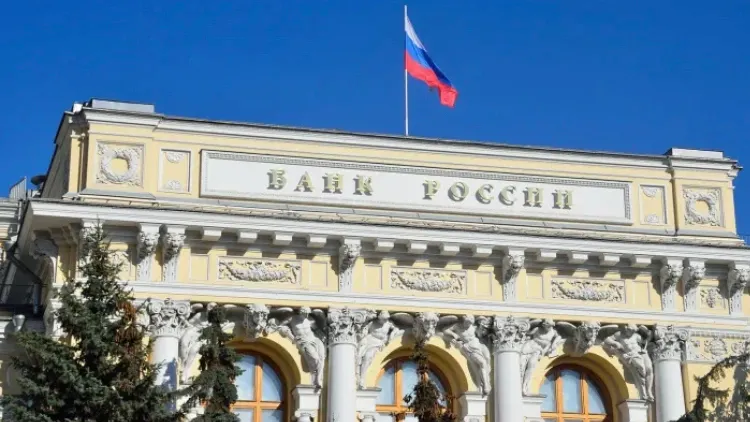 Ovchinnikova Irina / Shutterstock.com