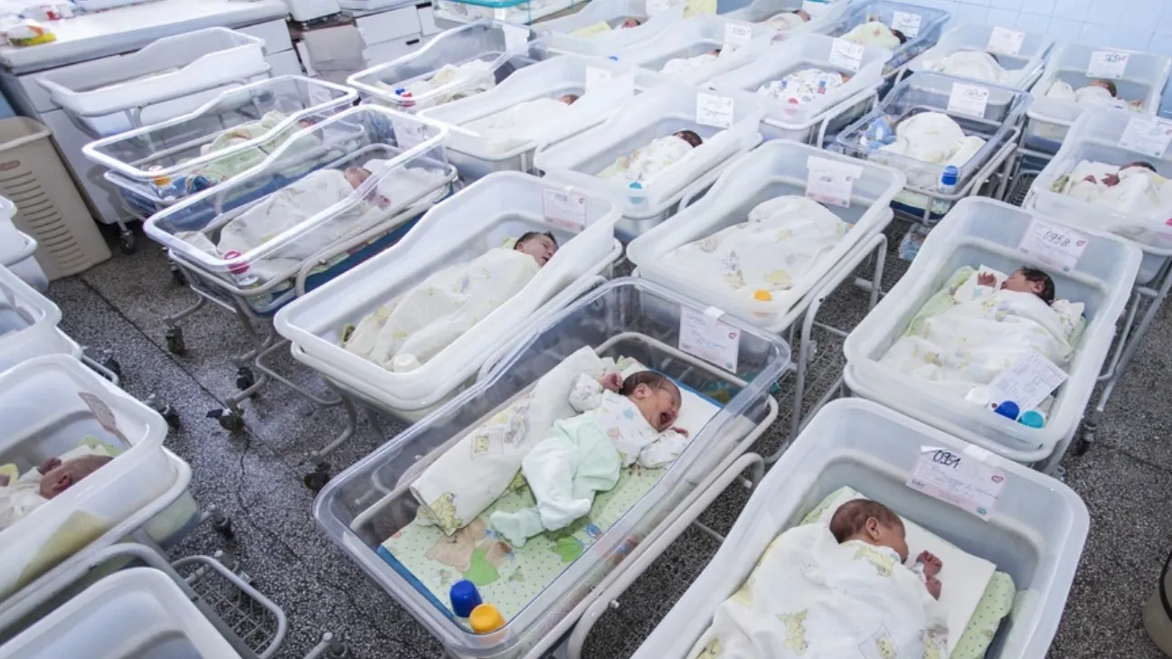 Фото: Circlephoto/shutterstock.com/Fotodom