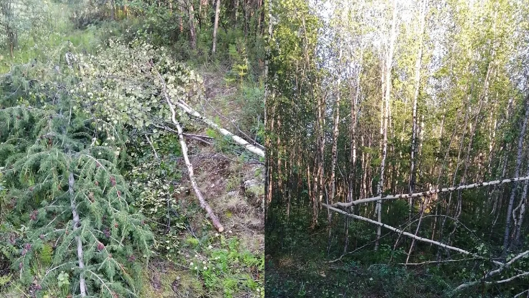 Фото: «Лабытнанги Info» во «ВКонтакте»