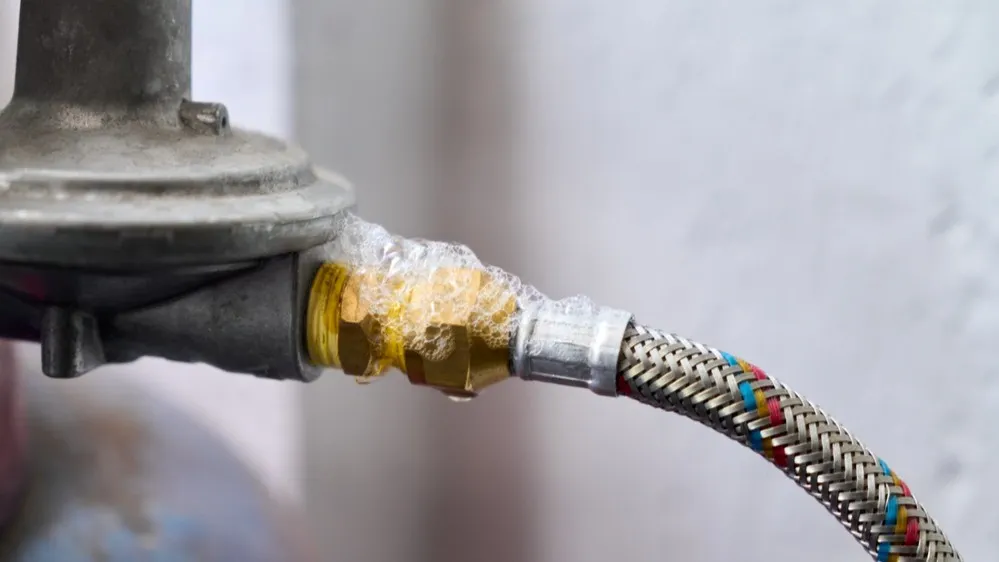 Фото: Fabian Montano Hernandez/Shutterstock/Fotodom