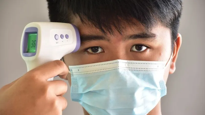 Фото: folkrutood/Shutterstock/Fotodom