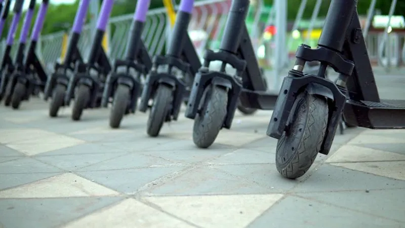 Фото: Addrenn/Shutterstock/Fotodom