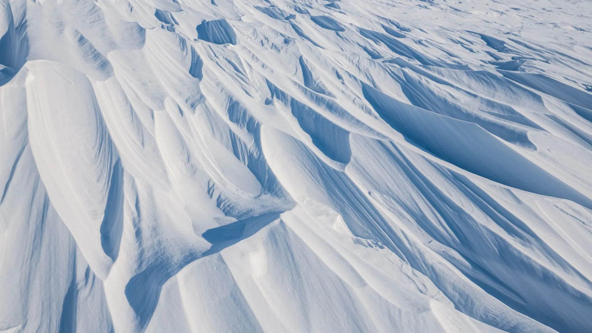 Фото: Andrei Stepanov/Shutterstock/Fotodom