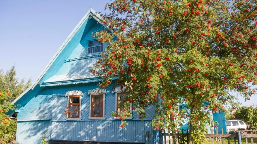 Фото: Marina Kuma/Shutterstock/Fotodom