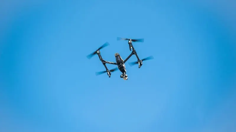 Фото: Nesterenko Maxym/Shutterstock/Fotodom