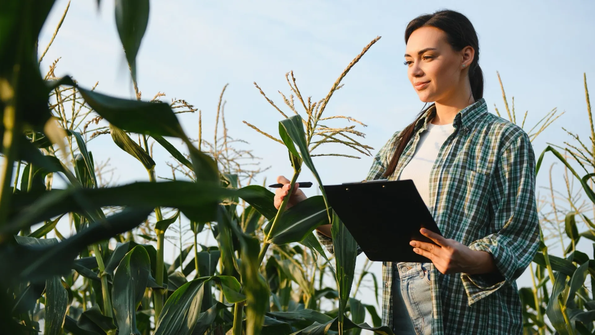 Фото: Hryshchyshen Serhii / Shutterstock / Fotodom