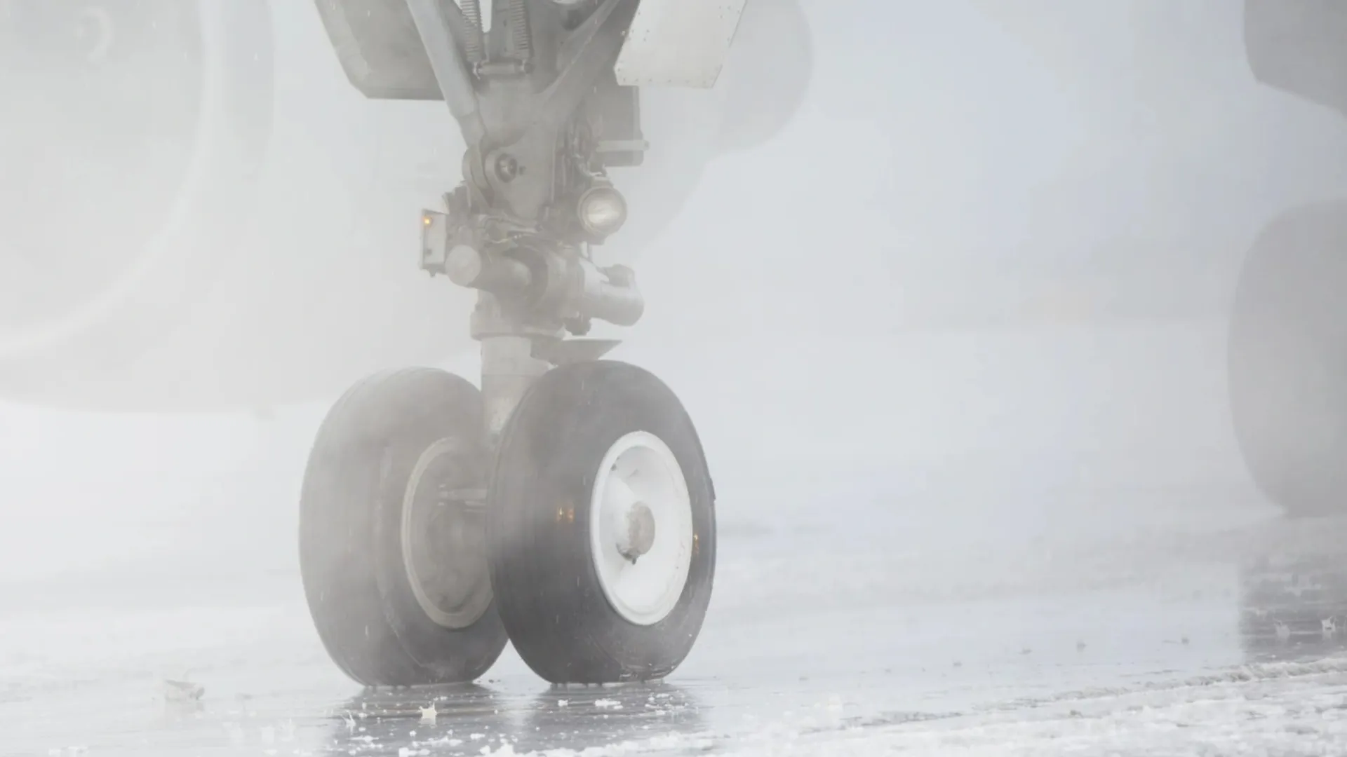 Фото: Jaromir Chalabala/Shutterstock/Fotodom