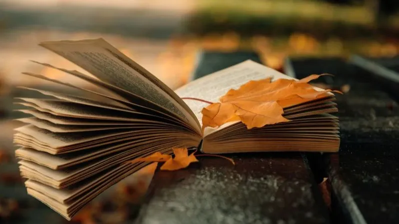 Фото: Greens and Blues/Shutterstock/Fotodom