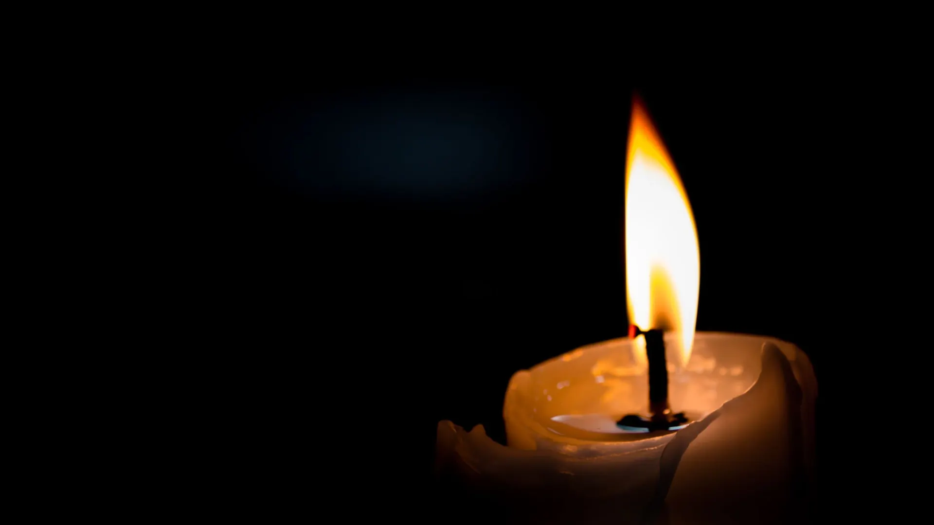 Фото: niwatn.th/Shutterstock/Fotodom