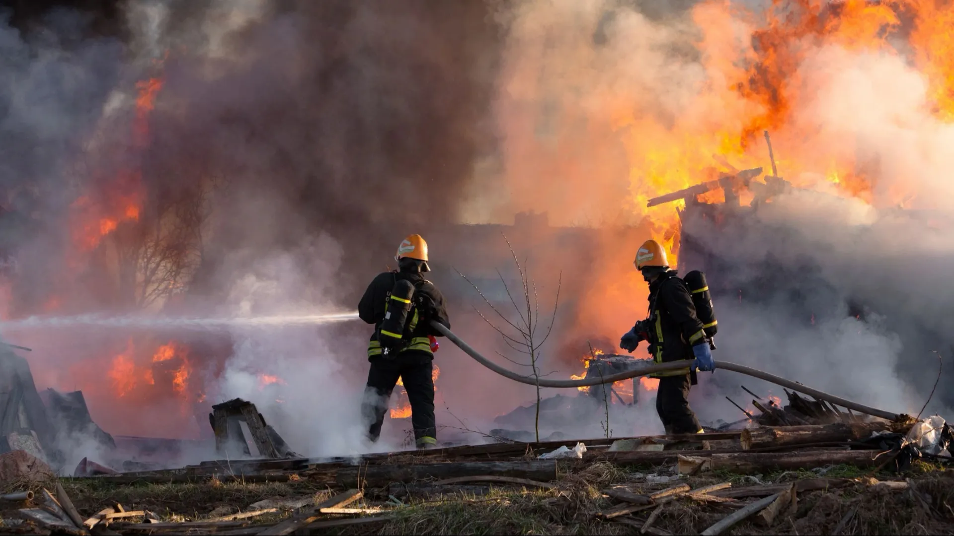 Фото: vikau/Shutterstock/Fotodom