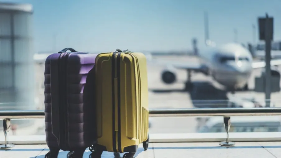 Фото: ImYanis/Shutterstock/Fotodom