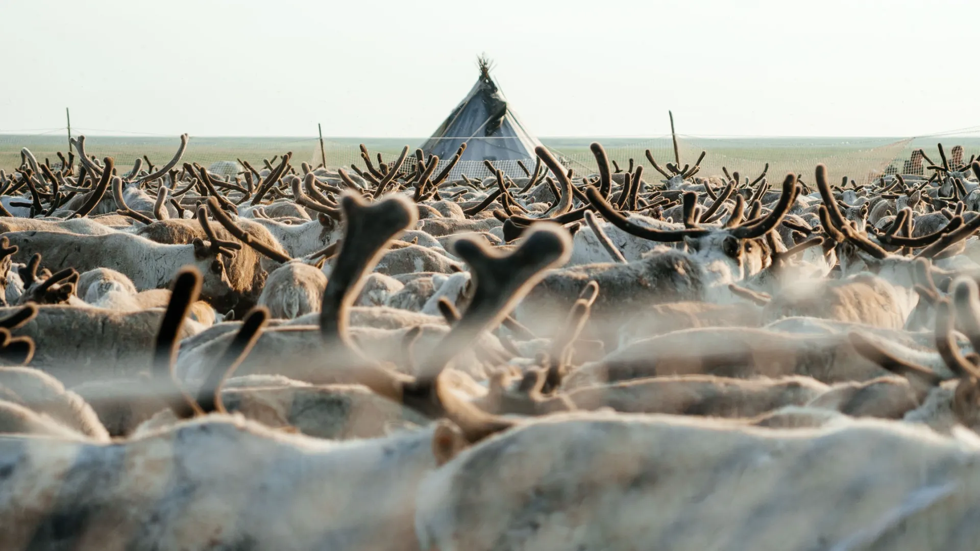 Фото: Юлия Чудинова/«Ямал-Медиа»