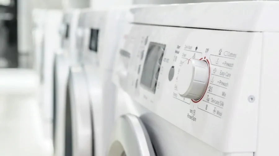 Фото: Serghei Starus/Shutterstock/Fotodom