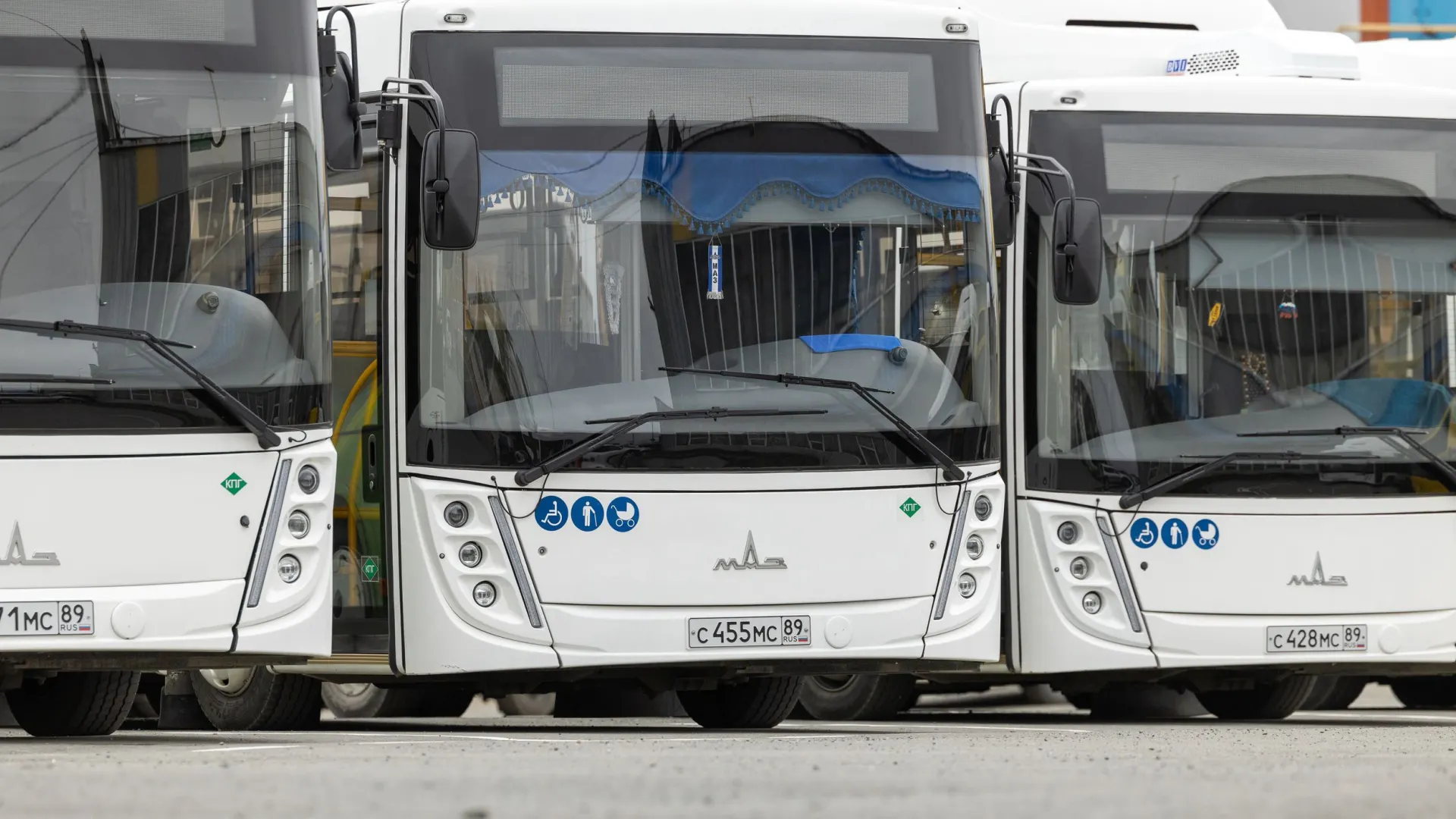 Фото: Федор Воронов/«Ямал-Медиа»