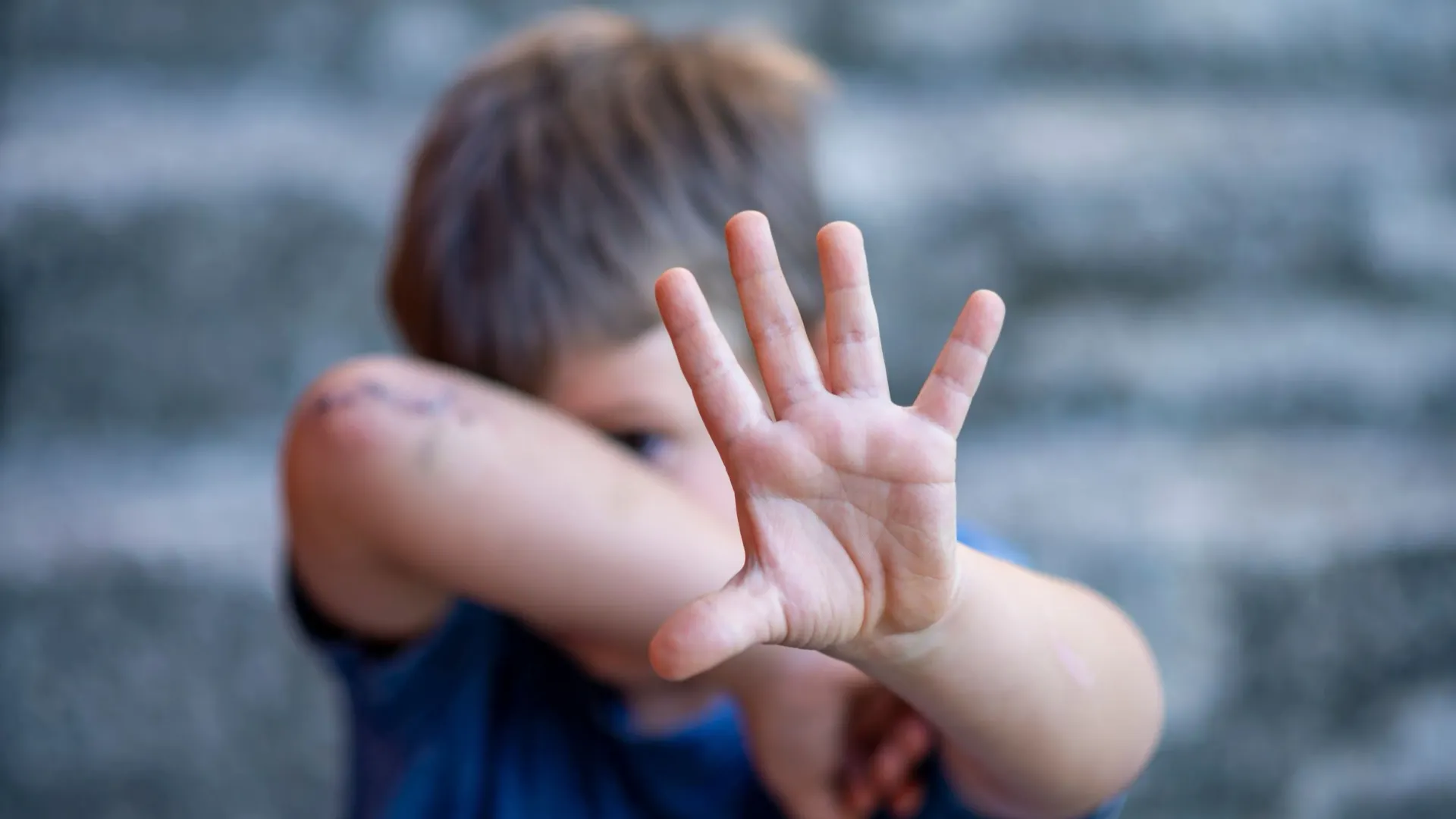 Фото: MaLija/Shutterstock/Fotodom